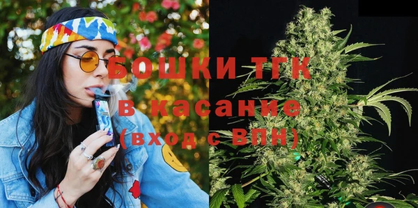 прущие грибы Верея