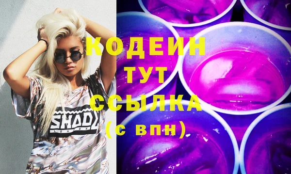 прущие грибы Верея