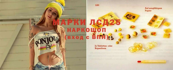 прущие грибы Верея