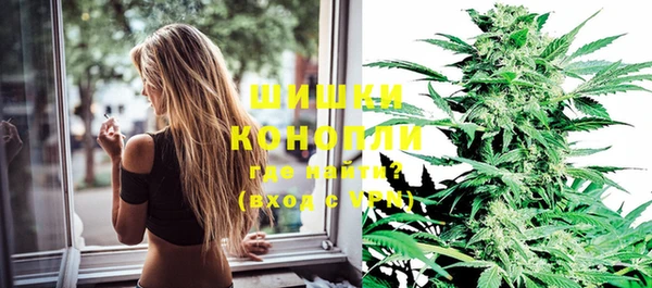 прущие грибы Верея