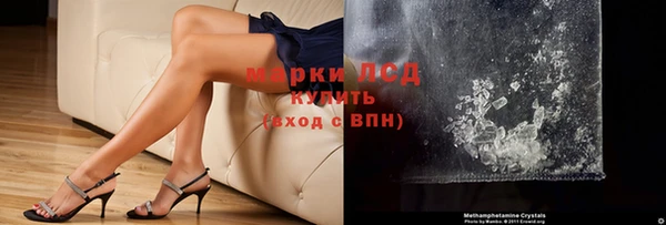 прущие грибы Верея