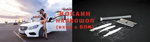 прущие грибы Верея