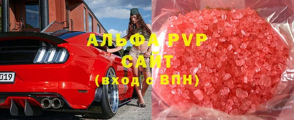 прущие грибы Верея