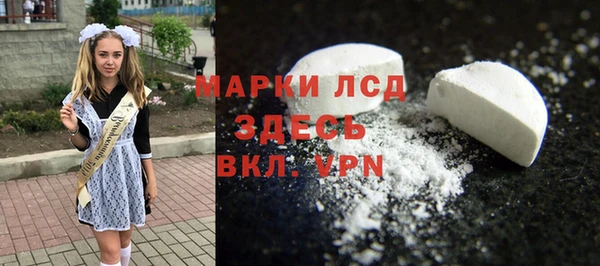 прущие грибы Верея