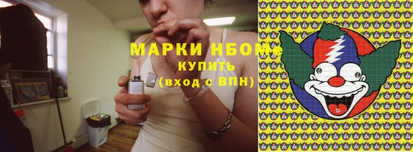 прущие грибы Верея