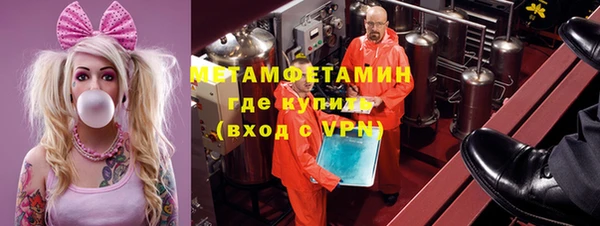 прущие грибы Верея