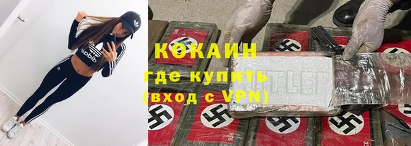 прущие грибы Верея