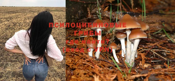 стафф Верхнеуральск