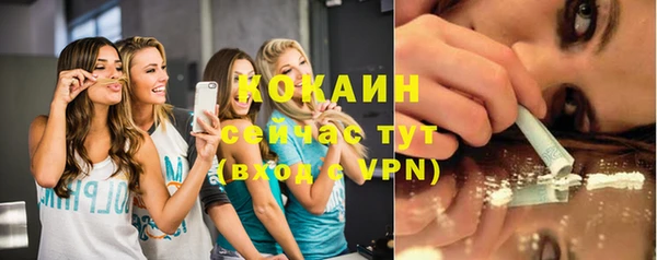 прущие грибы Верея